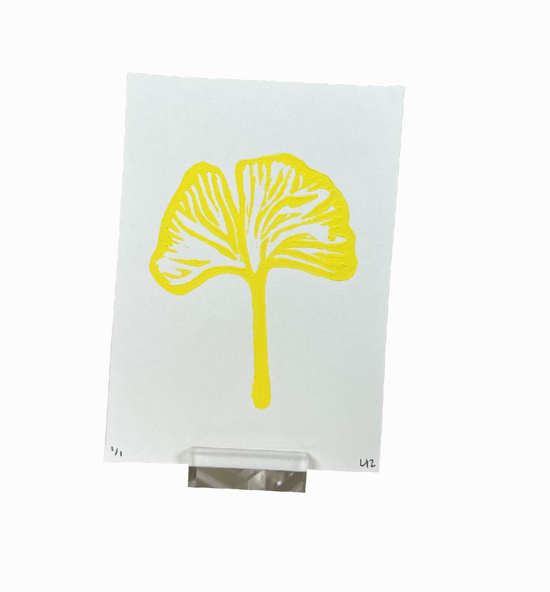 Tiny Ginkgo v3