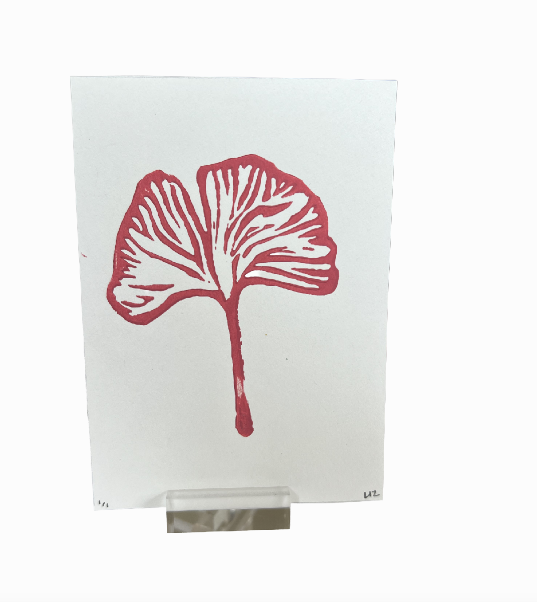 Tiny Ginkgo v6